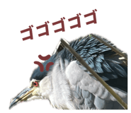 863512298