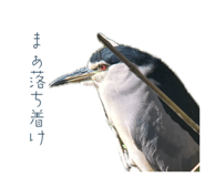 863512300