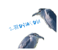 863512301