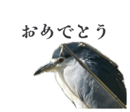 863512304