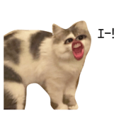 863513056
