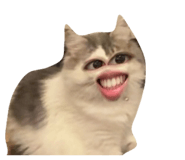 863513058