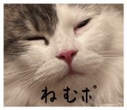 863513060