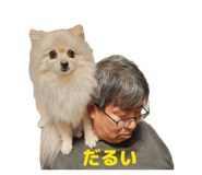 863513157