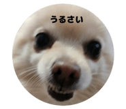 863513169