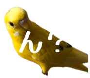 863513430