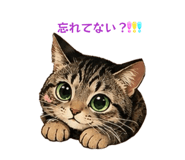 863513713