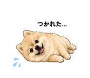 863513770
