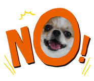 863514120