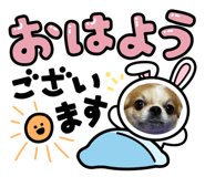 863514132