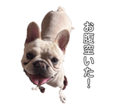 863514507