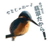 863514898