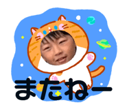 863516081