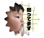 863517022