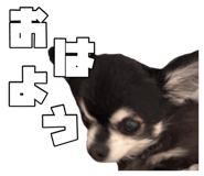 863518305