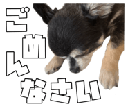863518306