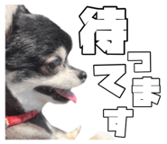 863518307