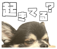863518308