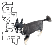 863518310