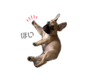 863522265