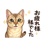 863523657
