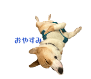 863523915