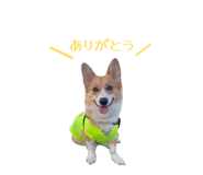 863523920