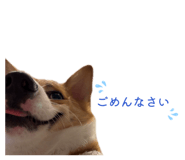 863523921