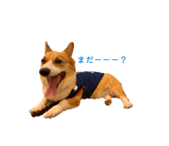 863523922