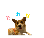 863523924
