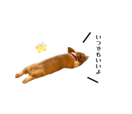 863523925