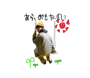 863524523