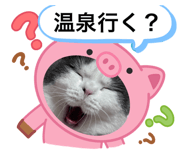 863524579