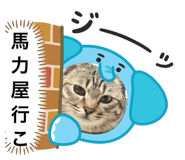 863524581