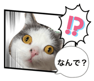 863524584