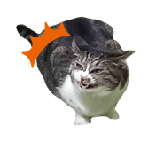 863526900
