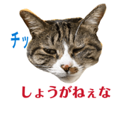 863526901