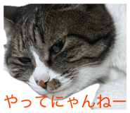 863526905
