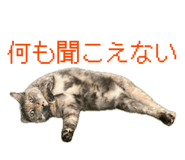 863526909