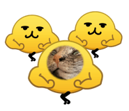 863526916
