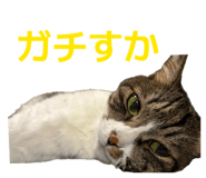 863526920