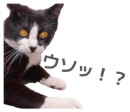 863526932