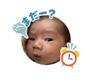 863527406
