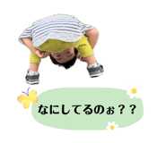863529491