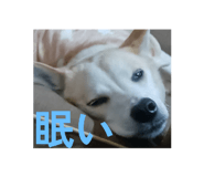 863529863