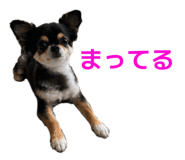 863530123