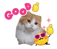 863530889
