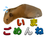 863532562