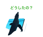 863532563