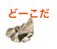 863532567